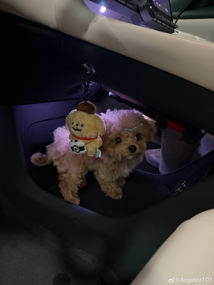 Angel赛后晒聚餐图:大家冬至快乐!德杯三连胜了来吃个泰料