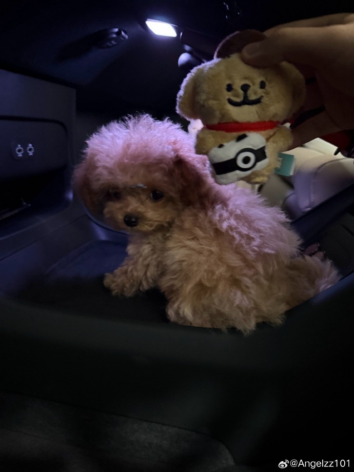 Angel赛后晒聚餐图:大家冬至快乐!德杯三连胜了来吃个泰料